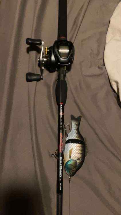 New Swimbait Setup - Fishing Rods, Reels, Line, and Knots - Bass Fishing  Forums