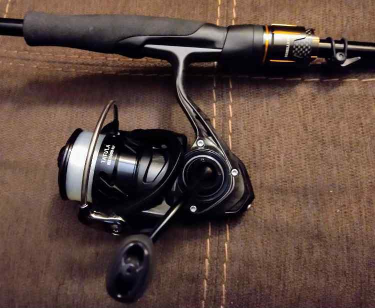 It might finally be time- spinning rod recommendations - Fishing