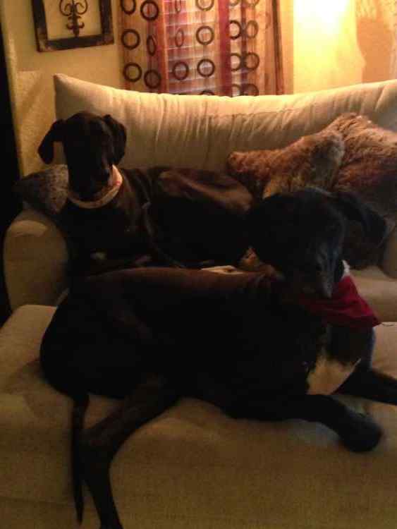 IMG_3753.jpeg.6f040a49b178cd5f50439aa629bb9775.jpeg