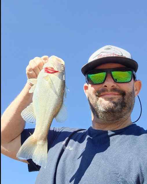 Latest Catch Pics Thread - Page 658 - Fishing Reports - Bass Fishing Forums