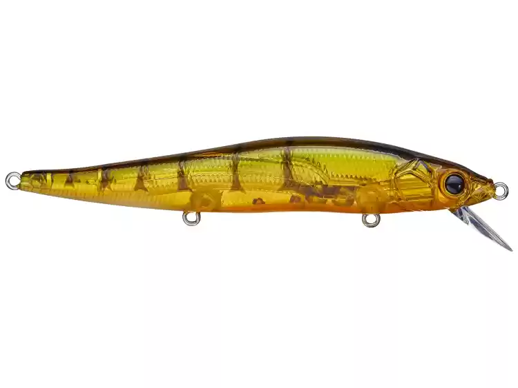 Vision110Shrimp.webp.836a070b1069204b23c99eaab677ee17.webp