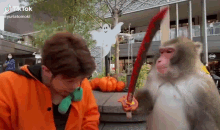 image.gif.7b5342df7cde68d886753f5a63f00fa4.gif