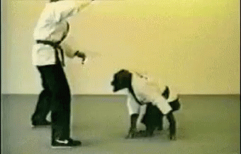 image.gif.d119ed61e0235bd4fad2c94a462ce216.gif