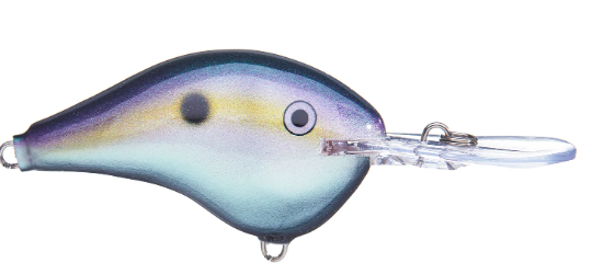image.png.2eafe366636c69978acbb7d686727975.png