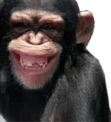 image.png.50e5d60cc8d9d86575e80f7d16d03972.png