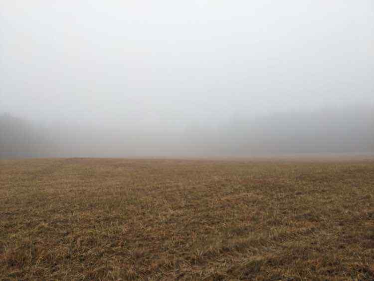 image000000.jpeg.a3c511079bd53c93da4c9c2c854a073d.jpeg