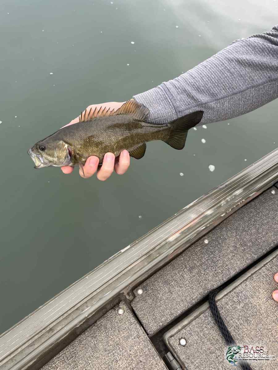 large.IMG_3771.jpeg