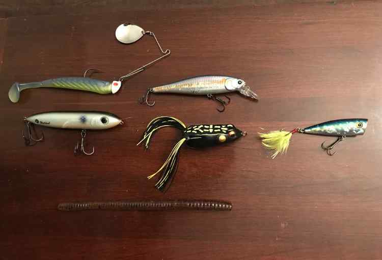 Kvd elite jerk baits - Fishing Tackle - Bass Fishing Forums