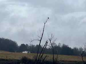 IMG_3758.jpeg