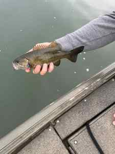 IMG_3771.jpeg