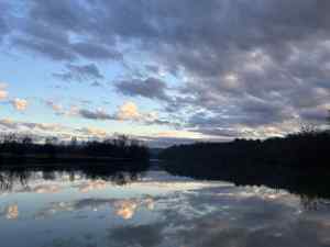 IMG_3779.jpeg
