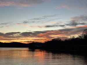 IMG_4127.jpeg