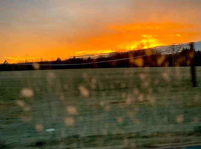 IMG_0978.jpeg.948c753ed09b4a66d0be6cc0b2a74340.jpeg