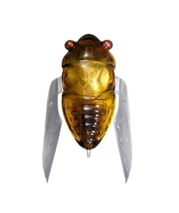 2x PFS Winged Cicada Fishing Lure Topwater Popper Crawler Freshwater Bream  Bass