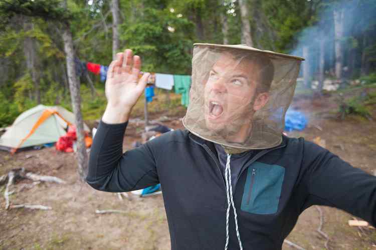 a-man-swats-at-mosquitoes-while-wearing-christopher-kimmel-1131775742.jpg.31cfb6471c3822437ae109d3fbdd5dc0.jpg