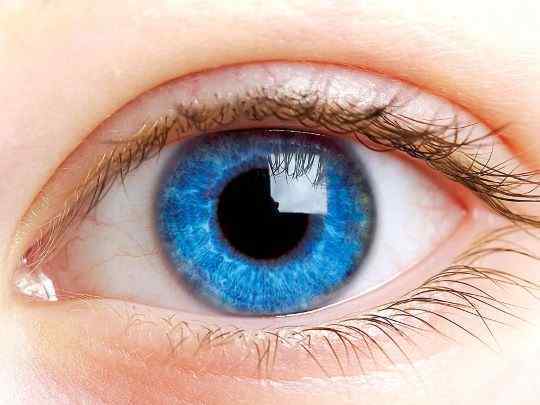 human-eye.jpg.3d0c6e0b89e0ca31fb6805bf7ace707a.jpg