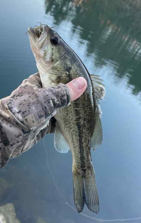 First Bass of 2024 - Fishing Reports - Bass Fishing Forums