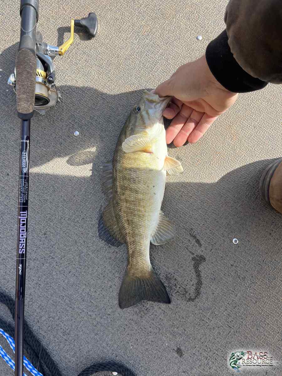 large.IMG_4227.jpeg