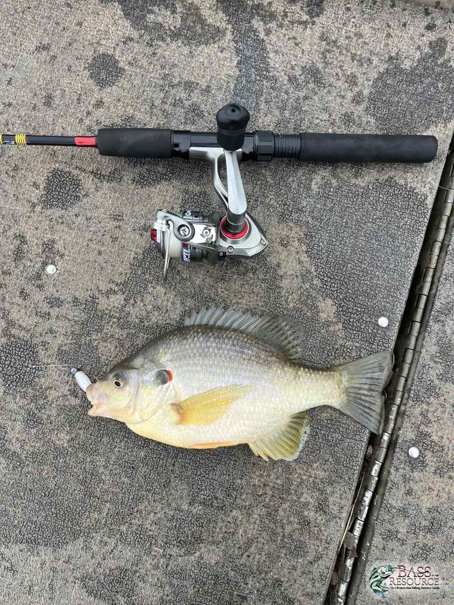large.IMG_4544.jpeg
