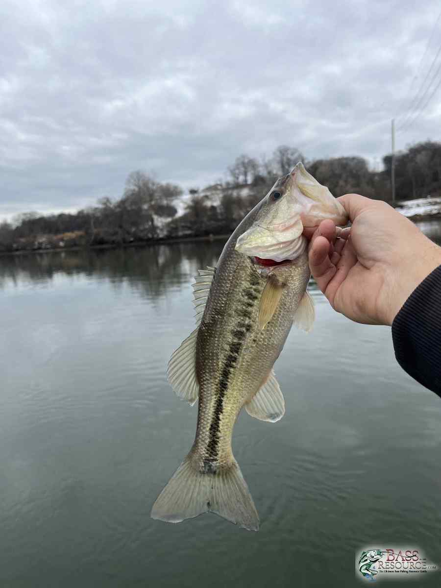 large.IMG_4548.jpeg