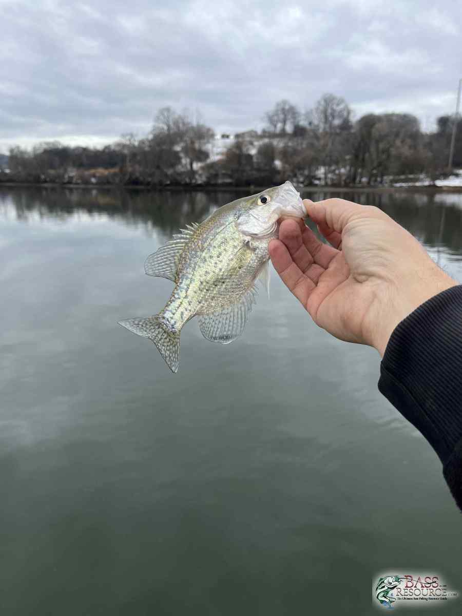large.IMG_4549.jpeg