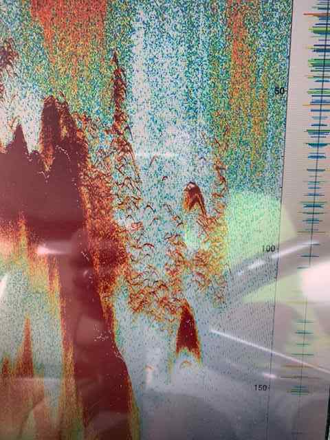 screenshot.jpg.122b9c9368b48d64cdfacd8856cbc580.jpg