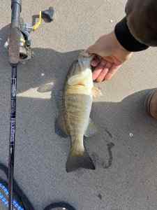 IMG_4227.jpeg