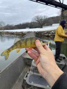 IMG_4545.jpeg