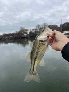 IMG_4548.jpeg