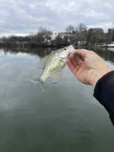 IMG_4549.jpeg