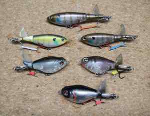 Topwater Plopper Lot