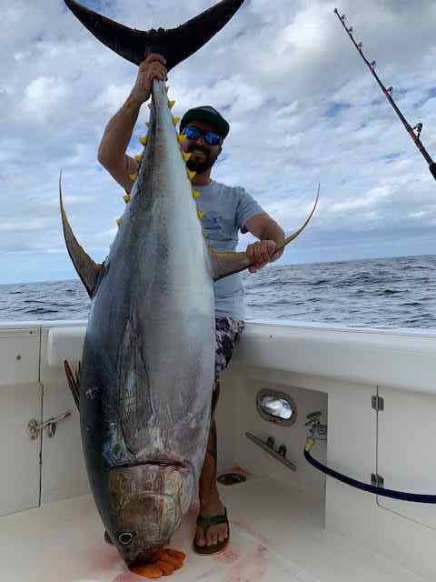 tuna2.jpg.14c003cd12caf163467e8356dc035c95.jpg