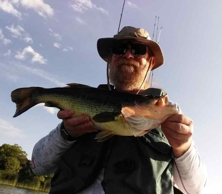 20190731_142801.jpg.5c67d83083c16187ebe62bca7feff7ad.jpg