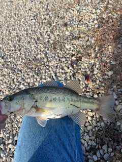IMG_2844.jpeg.37c5499383a52609b756dd13dc7dc614.jpeg