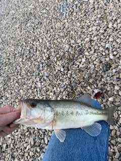 IMG_2846.jpeg.f39896a7e7cf49d4089f3e21752e2415.jpeg