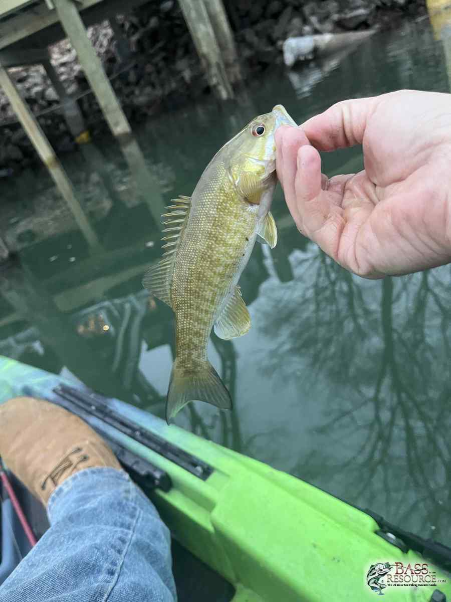large.IMG_4782.jpeg