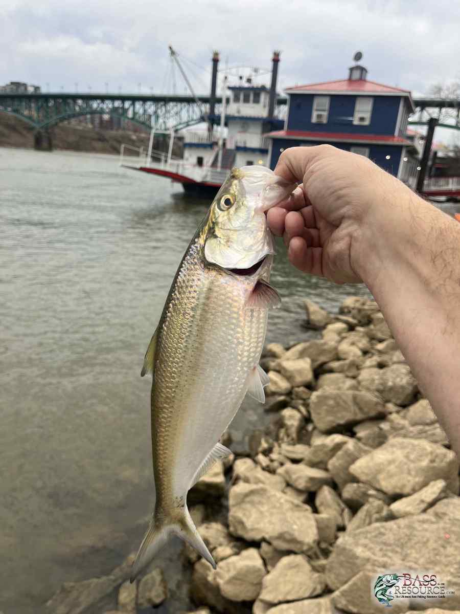 large.IMG_4933.jpeg