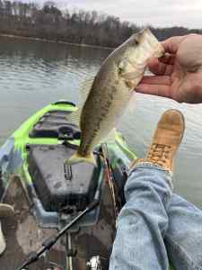 IMG_4780.jpeg
