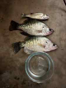 IMG_4783.jpeg