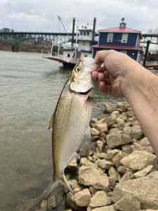 IMG_4933.jpeg