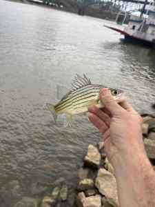 IMG_4935.jpeg