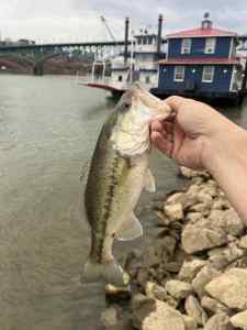 IMG_4936.jpeg