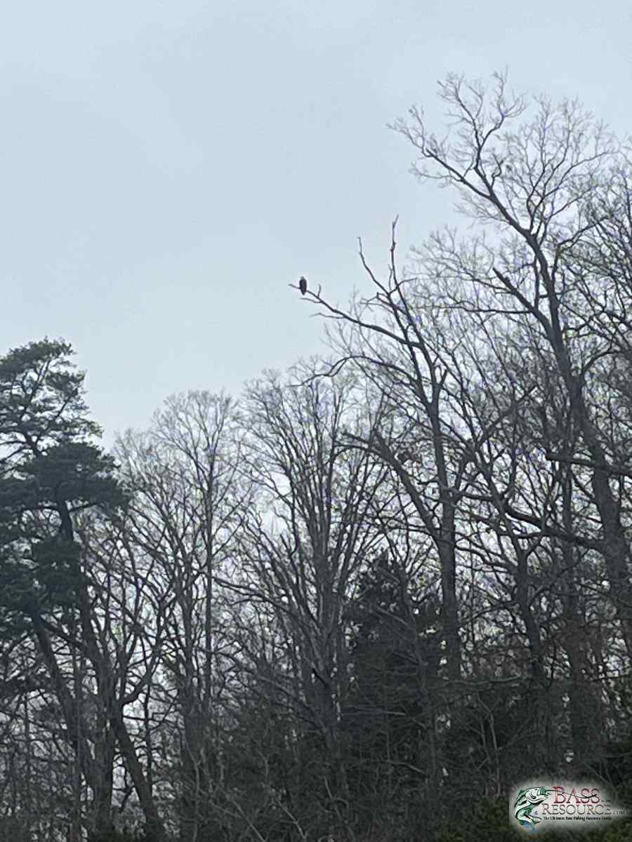 large.IMG_5204.jpeg