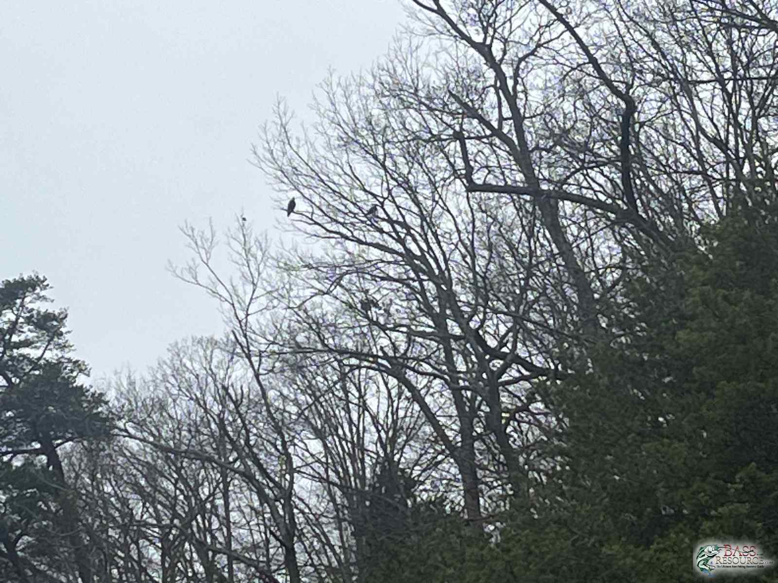 large.IMG_5205.jpeg