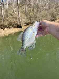 IMG_5031.jpeg