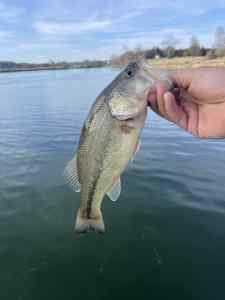 IMG_5032.jpeg