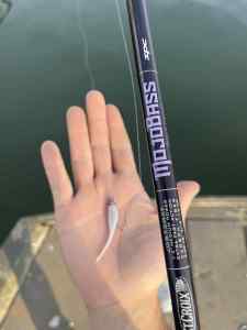 IMG_5037.jpeg