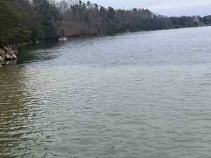 IMG_5201.jpeg