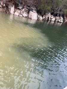 IMG_5203.jpeg