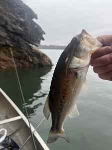 IMG_5206.jpeg